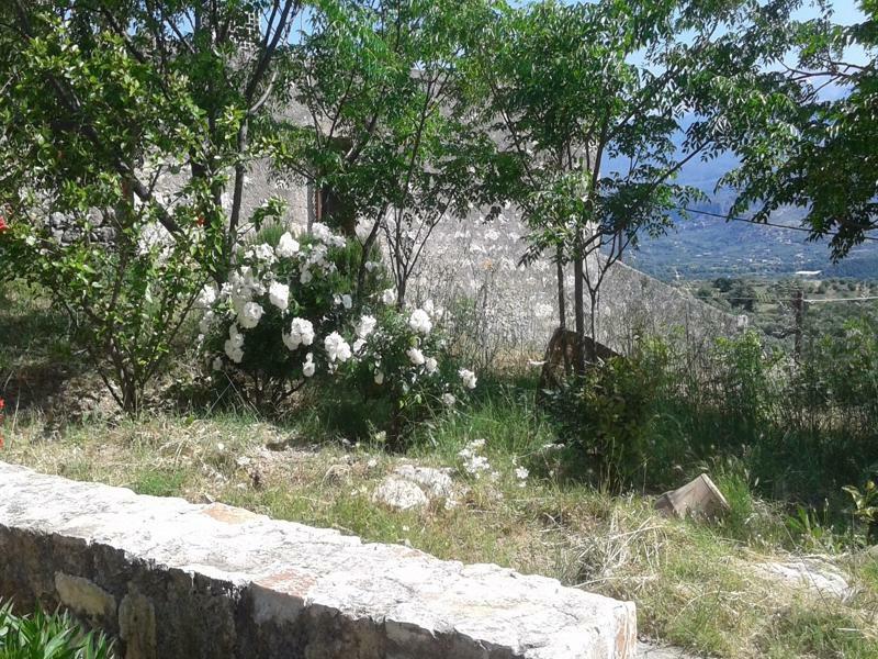 Villa Petra & Elia Megala Chorafia Esterno foto
