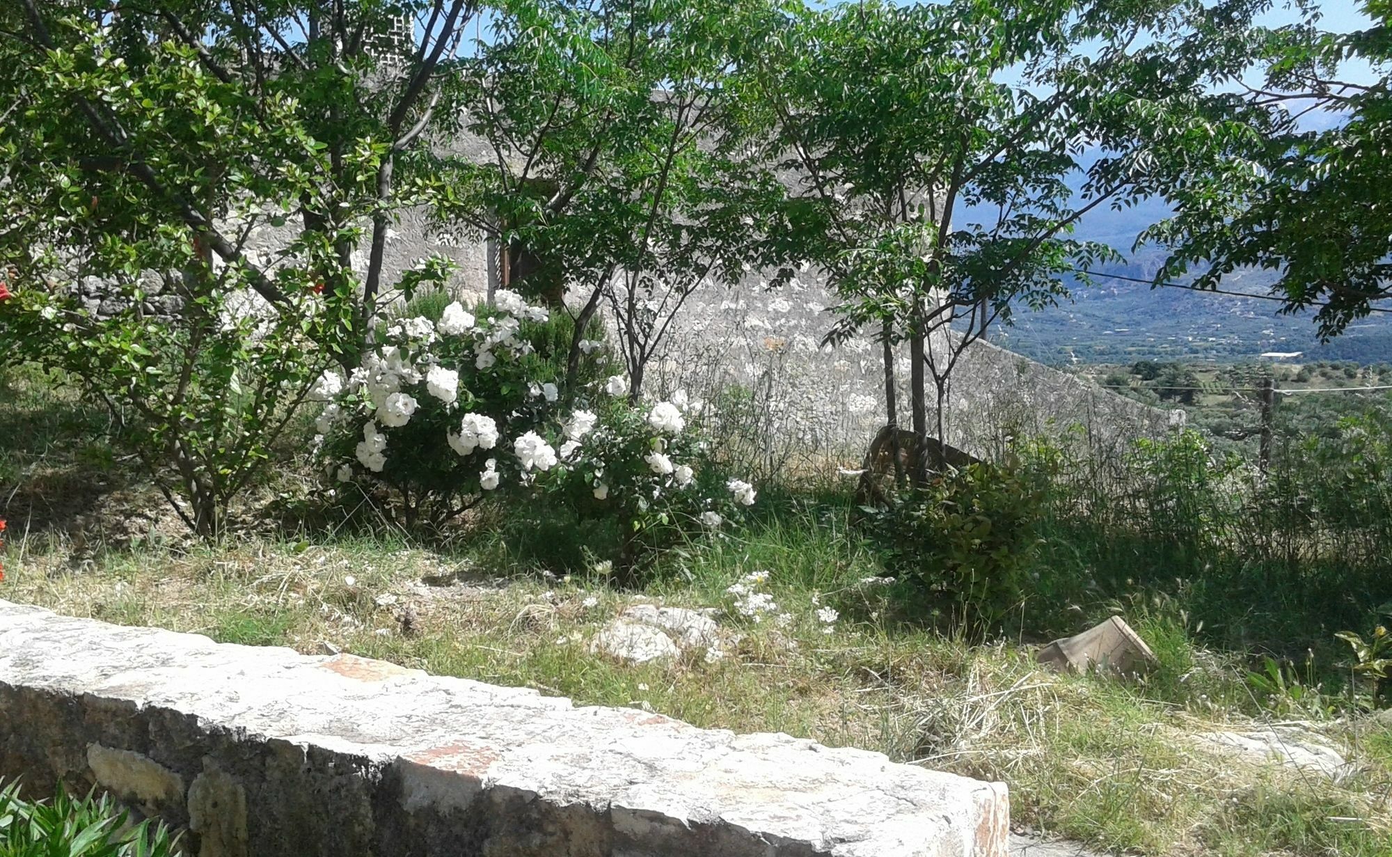 Villa Petra & Elia Megala Chorafia Esterno foto