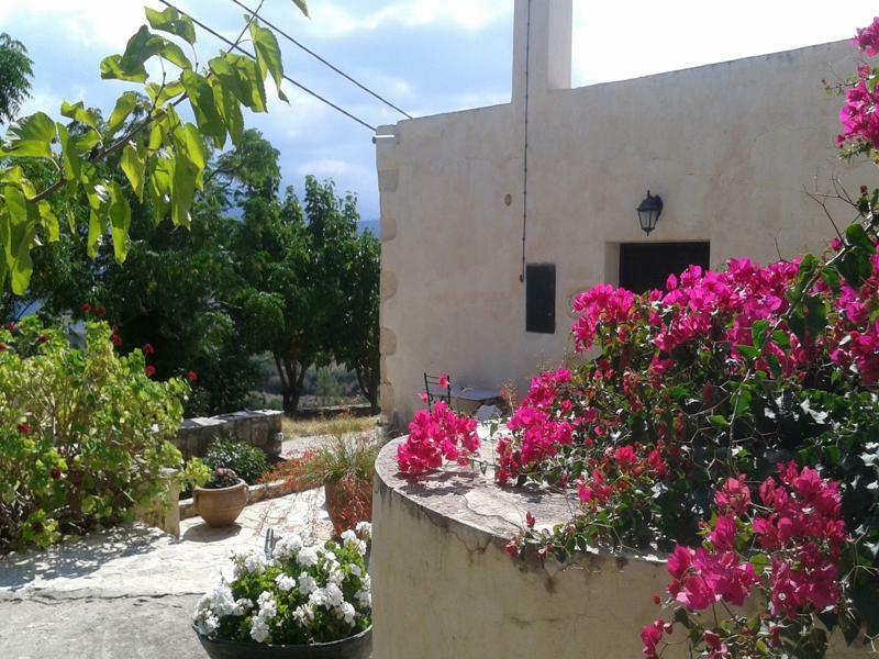 Villa Petra & Elia Megala Chorafia Esterno foto