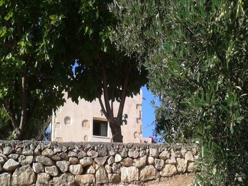 Villa Petra & Elia Megala Chorafia Esterno foto